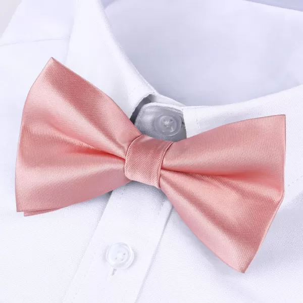HISDERN Bow Ties for Men Pretied Bowties Classic Formal Business Bow Tie Adjustable Tuxedo Bowtie for Wedding Party