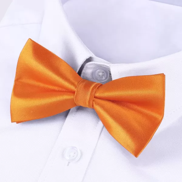 HISDERN Bow Ties for Men Pretied Bowties Classic Formal Business Bow Tie Adjustable Tuxedo Bowtie for Wedding Party