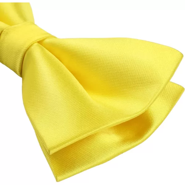 HISDERN Bow Ties for Men Pretied Bowties Classic Formal Business Bow Tie Adjustable Tuxedo Bowtie for Wedding Party