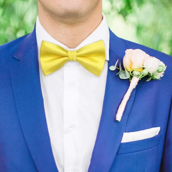 HISDERN Bow Ties for Men Pretied Bowties Classic Formal Business Bow Tie Adjustable Tuxedo Bowtie for Wedding Party
