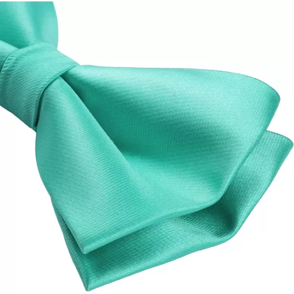 HISDERN Bow Ties for Men Pretied Bowties Classic Formal Business Bow Tie Adjustable Tuxedo Bowtie for Wedding Party
