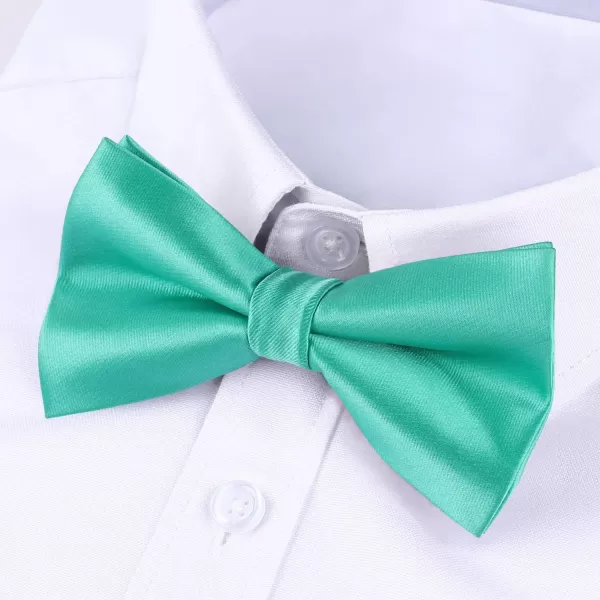 HISDERN Bow Ties for Men Pretied Bowties Classic Formal Business Bow Tie Adjustable Tuxedo Bowtie for Wedding Party