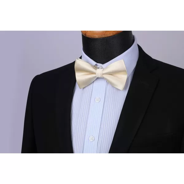 HISDERN Bow Ties for Men Pretied Bowties Classic Formal Business Bow Tie Adjustable Tuxedo Bowtie for Wedding Party
