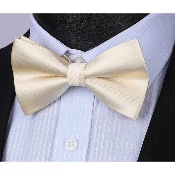 HISDERN Bow Ties for Men Pretied Bowties Classic Formal Business Bow Tie Adjustable Tuxedo Bowtie for Wedding Party