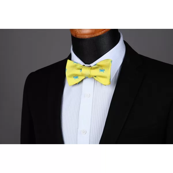 HISDERN Bow Ties for Men Self Tie Animal Bowties Pocket Square Woven Silk Fun Bowtie Handkerchief Set for Wedding Party