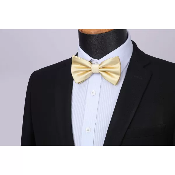 HISDERN Bow Ties for Men Solid Color Pre-Tie Bow Tie and Pocket Square Set Classic Formal Tuxedo Bowties for Wedding Party