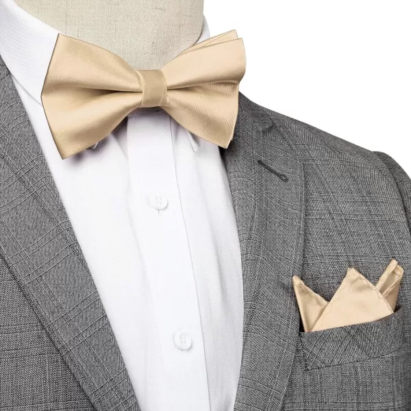 HISDERN Bow Ties for Men Solid Color Pre-Tie Bow Tie and Pocket Square Set Classic Formal Tuxedo Bowties for Wedding Party