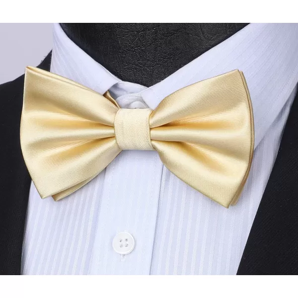 HISDERN Bow Ties for Men Solid Color Pre-Tie Bow Tie and Pocket Square Set Classic Formal Tuxedo Bowties for Wedding Party