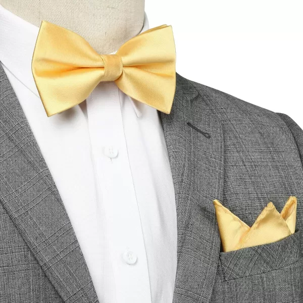 HISDERN Bow Ties for Men Solid Color Pre-Tie Bow Tie and Pocket Square Set Classic Formal Tuxedo Bowties for Wedding Party