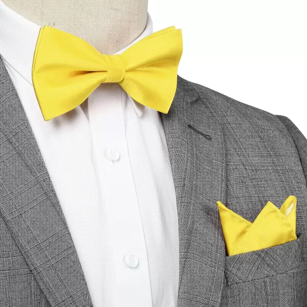 HISDERN Bow Ties for Men Solid Color Pre-Tie Bow Tie and Pocket Square Set Classic Formal Tuxedo Bowties for Wedding Party