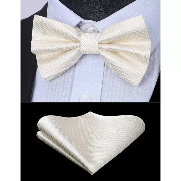 HISDERN Bow Ties for Men Solid Color Pre-Tie Bow Tie and Pocket Square Set Classic Formal Tuxedo Bowties for Wedding Party