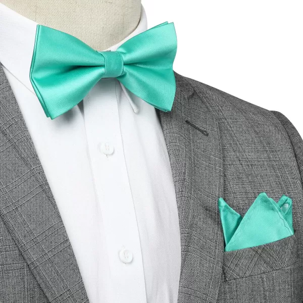 HISDERN Bow Ties for Men Solid Color Pre-Tie Bow Tie and Pocket Square Set Classic Formal Tuxedo Bowties for Wedding Party