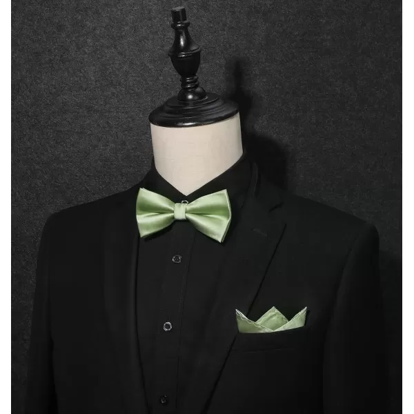 HISDERN Bow Ties for Men Solid Color Pre-Tie Bow Tie and Pocket Square Set Classic Formal Tuxedo Bowties for Wedding Party