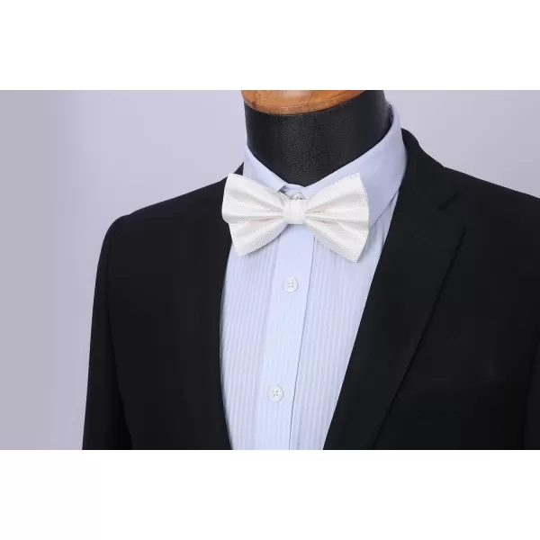 HISDERN Bow Ties for Men Solid Color Pre-Tie Bow Tie and Pocket Square Set Classic Formal Tuxedo Bowties for Wedding Party