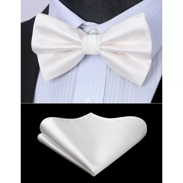 HISDERN Bow Ties for Men Solid Color Pre-Tie Bow Tie and Pocket Square Set Classic Formal Tuxedo Bowties for Wedding Party