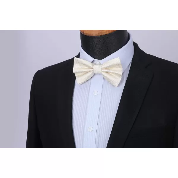 HISDERN Bow Ties for Men Solid Color Pre-Tie Bow Tie and Pocket Square Set Classic Formal Tuxedo Bowties for Wedding Party