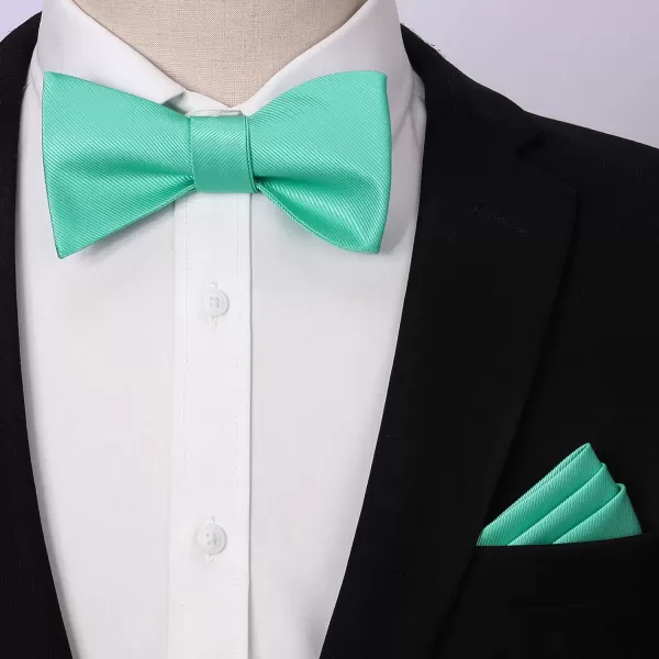 HISDERN Bow Ties for Men Solid Color Self Tie Bow Tie Pocket Square Set Classic Formal Satin Bowties for Tuxedo Wedding Party