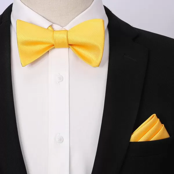 HISDERN Bow Ties for Men Solid Color Self Tie Bow Tie Pocket Square Set Classic Formal Satin Bowties for Tuxedo Wedding Party