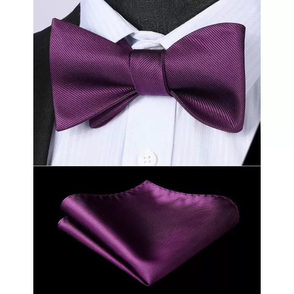 HISDERN Bow Ties for Men Solid Color Self Tie Bow Tie Pocket Square Set Classic Formal Satin Bowties for Tuxedo Wedding Party