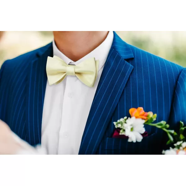 HISDERN Bow Ties for Men Solid Color Self Tie Bow Tie Pocket Square Set Classic Formal Satin Bowties for Tuxedo Wedding Party