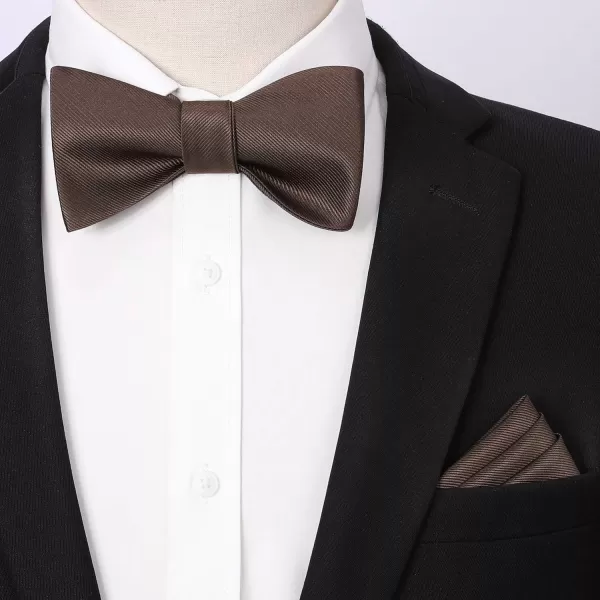HISDERN Bow Ties for Men Solid Color Self Tie Bow Tie Pocket Square Set Classic Formal Satin Bowties for Tuxedo Wedding Party