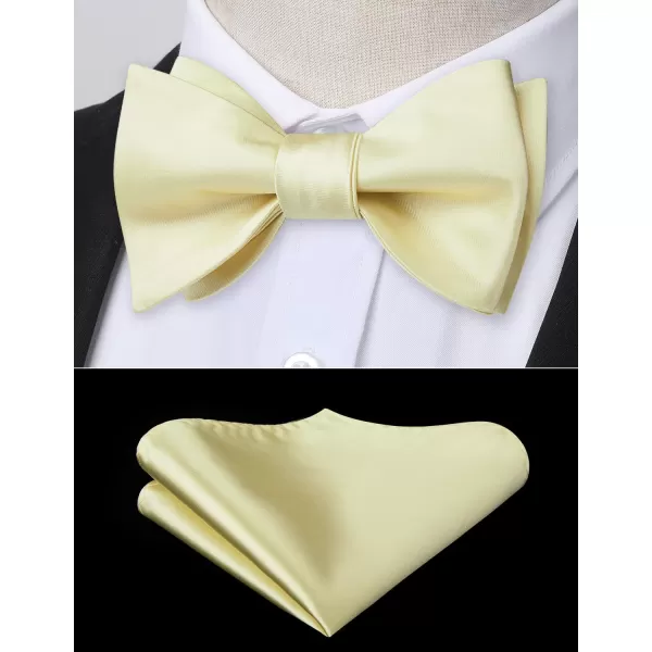 HISDERN Bow Ties for Men Solid Color Self Tie Bow Tie Pocket Square Set Classic Formal Satin Bowties for Tuxedo Wedding Party