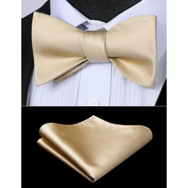 HISDERN Bow Ties for Men Solid Color Self Tie Bow Tie Pocket Square Set Classic Formal Satin Bowties for Tuxedo Wedding Party