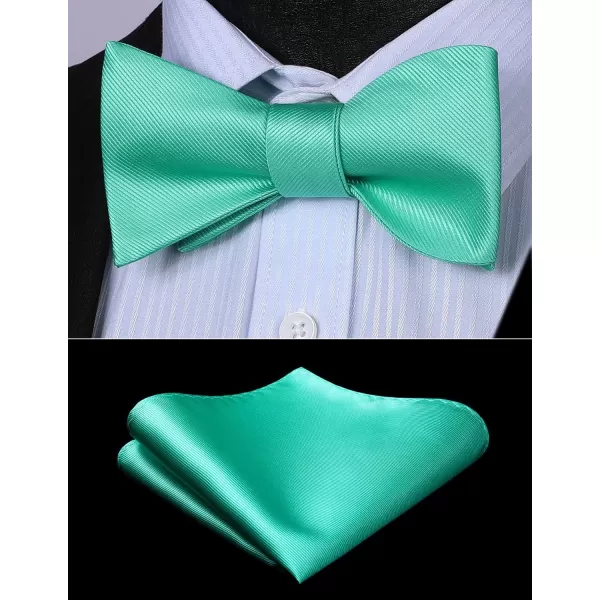 HISDERN Bow Ties for Men Solid Color Self Tie Bow Tie Pocket Square Set Classic Formal Satin Bowties for Tuxedo Wedding Party