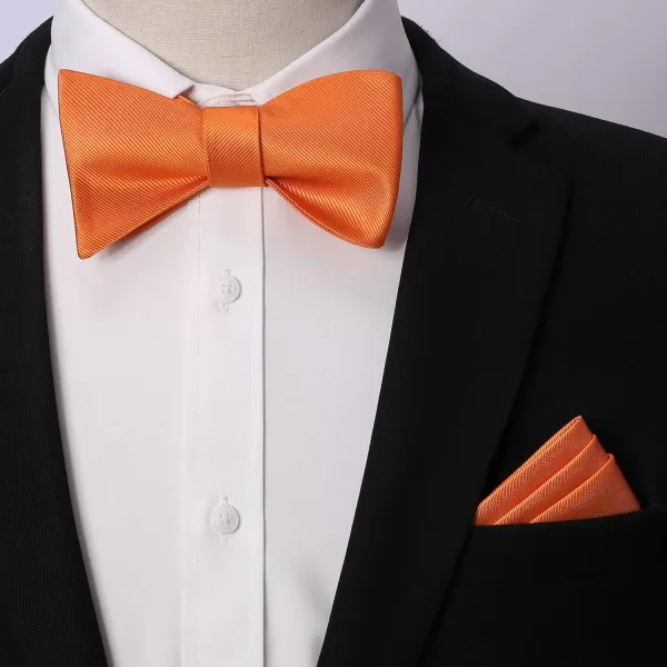 HISDERN Bow Ties for Men Solid Color Self Tie Bow Tie Pocket Square Set Classic Formal Satin Bowties for Tuxedo Wedding Party
