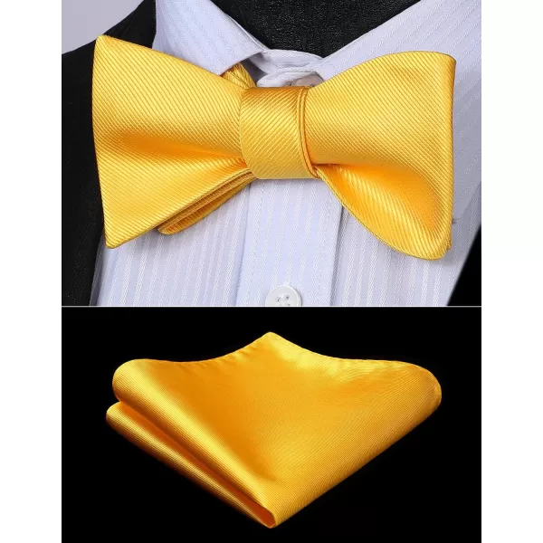 HISDERN Bow Ties for Men Solid Color Self Tie Bow Tie Pocket Square Set Classic Formal Satin Bowties for Tuxedo Wedding Party