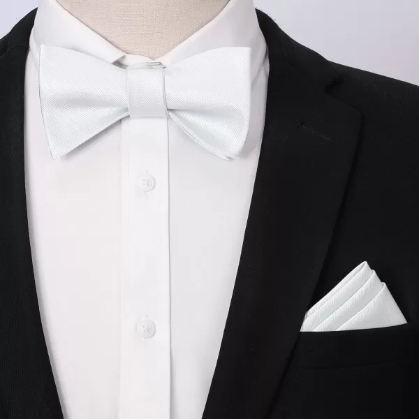 HISDERN Bow Ties for Men Solid Color Self Tie Bow Tie Pocket Square Set Classic Formal Satin Bowties for Tuxedo Wedding Party