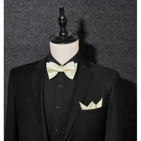 HISDERN Bow Ties for Men Solid Color Self Tie Bow Tie Pocket Square Set Classic Formal Satin Bowties for Tuxedo Wedding Party