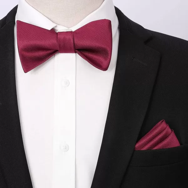 HISDERN Bow Ties for Men Solid Color Self Tie Bow Tie Pocket Square Set Classic Formal Satin Bowties for Tuxedo Wedding Party