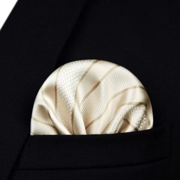 HISDERN Bow Ties for Men Striped Bowties Men's Self Tie Bowtie Handkerchief Formal Tuxedo Wedding Bowties and Pocket Square