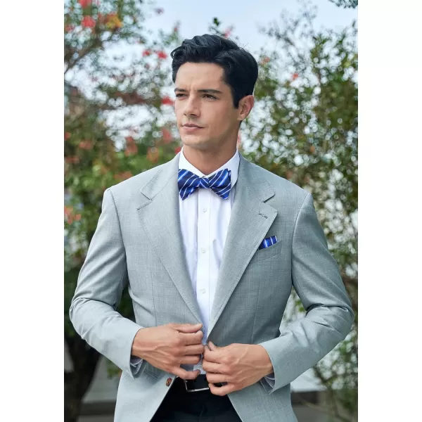HISDERN Bow Ties for Men Striped Bowties Men's Self Tie Bowtie Handkerchief Formal Tuxedo Wedding Bowties and Pocket Square
