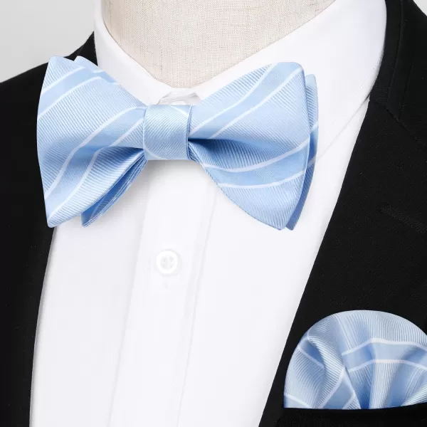 HISDERN Bow Ties for Men Striped Bowties Men's Self Tie Bowtie Handkerchief Formal Tuxedo Wedding Bowties and Pocket Square