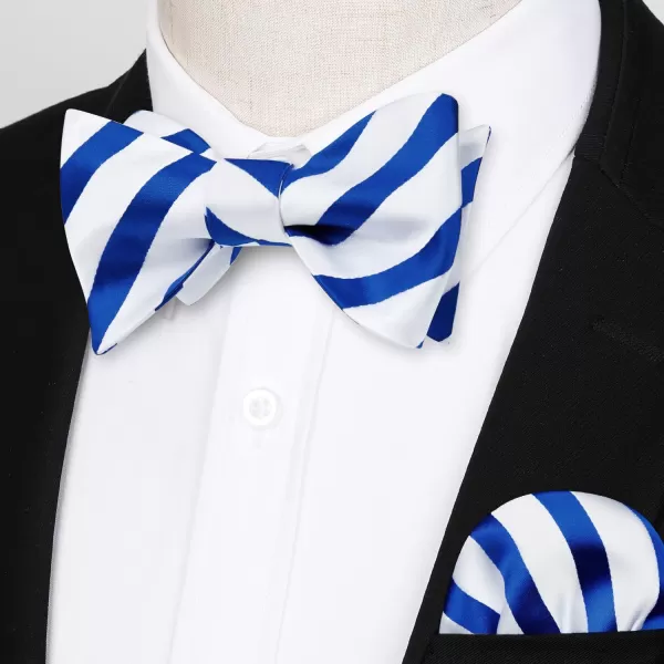 HISDERN Bow Ties for Men Striped Bowties Men's Self Tie Bowtie Handkerchief Formal Tuxedo Wedding Bowties and Pocket Square