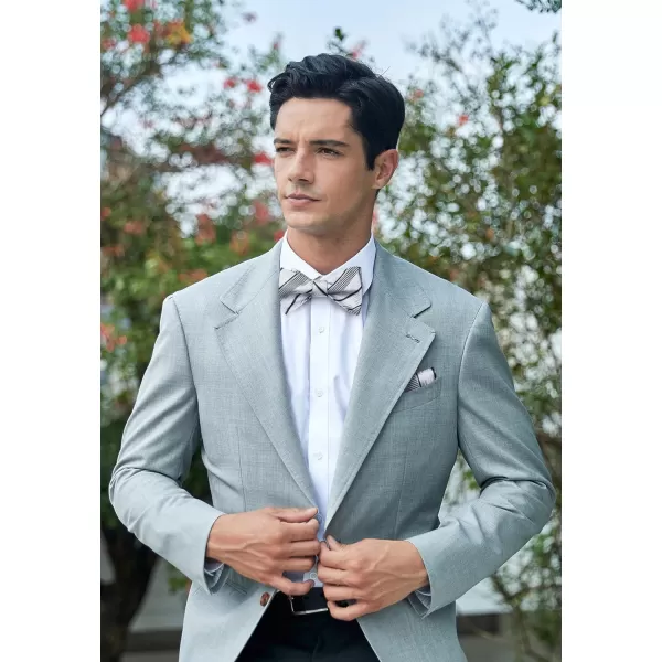 HISDERN Bow Ties for Men Striped Bowties Men's Self Tie Bowtie Handkerchief Formal Tuxedo Wedding Bowties and Pocket Square