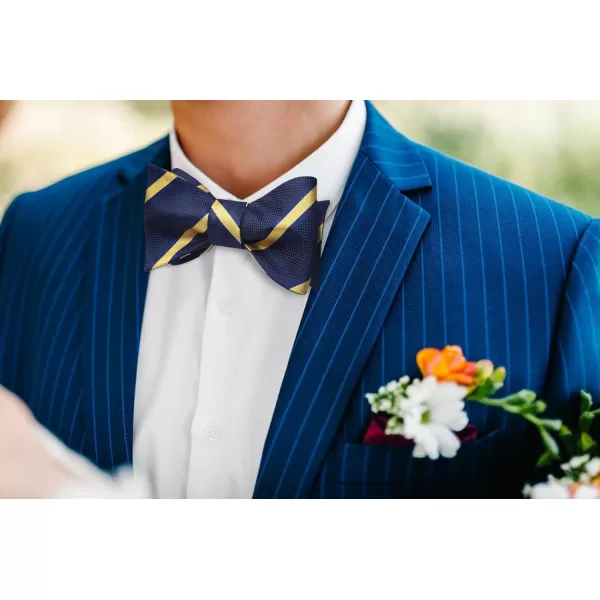 HISDERN Bow Ties for Men Striped Bowties Men's Self Tie Bowtie Handkerchief Formal Tuxedo Wedding Bowties and Pocket Square