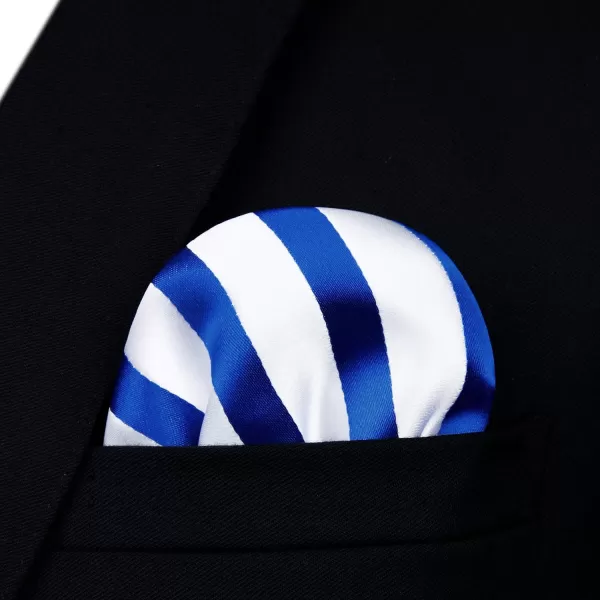 HISDERN Bow Ties for Men Striped Bowties Men's Self Tie Bowtie Handkerchief Formal Tuxedo Wedding Bowties and Pocket Square