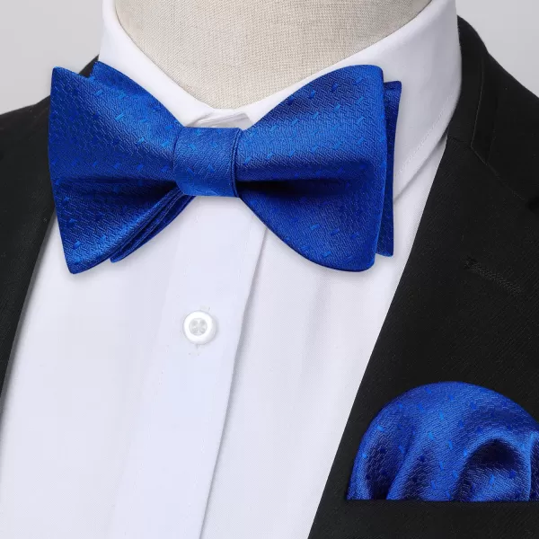 HISDERN Bow Ties for Men Striped Bowties Men's Self Tie Bowtie Handkerchief Formal Tuxedo Wedding Bowties and Pocket Square