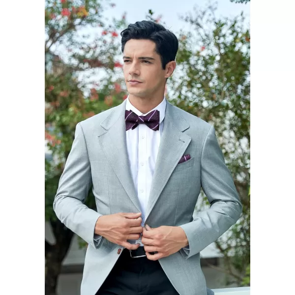 HISDERN Bow Ties for Men Striped Bowties Men's Self Tie Bowtie Handkerchief Formal Tuxedo Wedding Bowties and Pocket Square