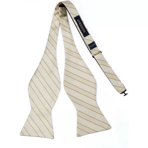 HISDERN Bow Ties for Men Striped Bowties Men's Self Tie Bowtie Handkerchief Formal Tuxedo Wedding Bowties and Pocket Square