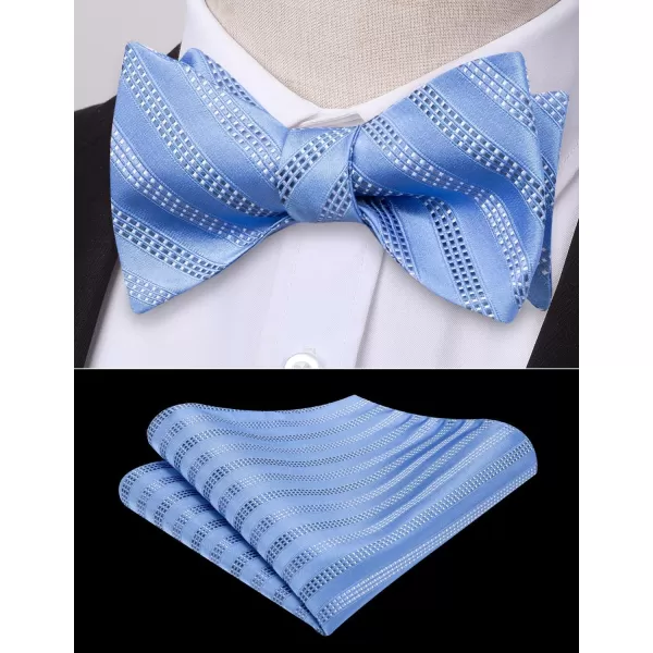 HISDERN Bow Ties for Men Striped Bowties Men's Self Tie Bowtie Handkerchief Formal Tuxedo Wedding Bowties and Pocket Square