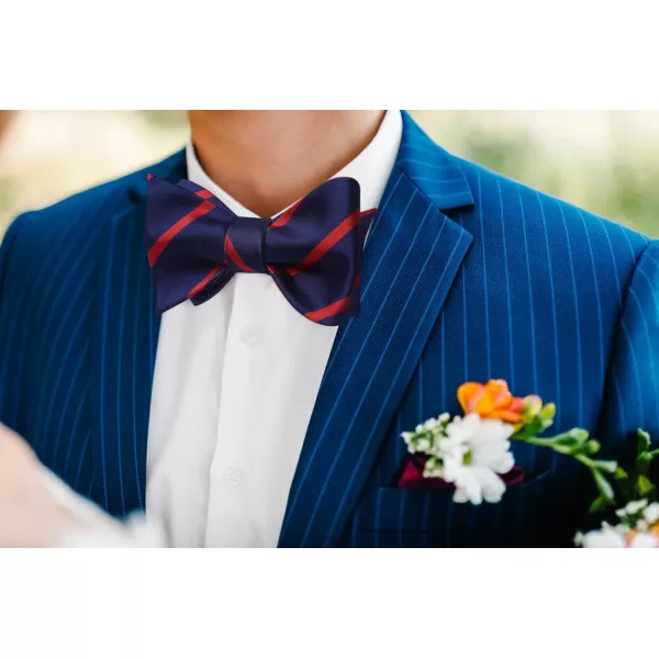 HISDERN Bow Ties for Men Striped Bowties Men's Self Tie Bowtie Handkerchief Formal Tuxedo Wedding Bowties and Pocket Square