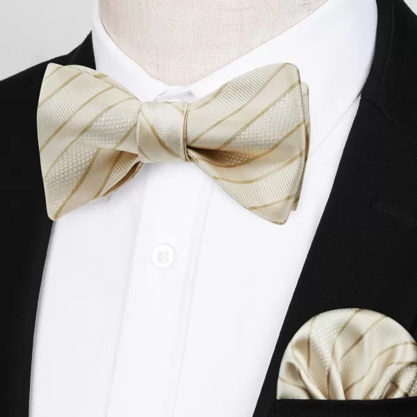 HISDERN Bow Ties for Men Striped Bowties Men's Self Tie Bowtie Handkerchief Formal Tuxedo Wedding Bowties and Pocket Square