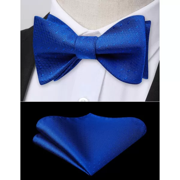 HISDERN Bow Ties for Men Striped Bowties Men's Self Tie Bowtie Handkerchief Formal Tuxedo Wedding Bowties and Pocket Square