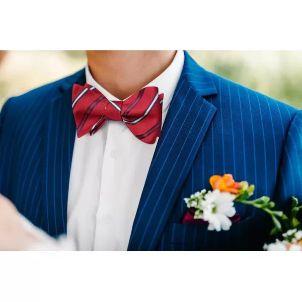 HISDERN Bow Ties for Men Striped Bowties Men's Self Tie Bowtie Handkerchief Formal Tuxedo Wedding Bowties and Pocket Square
