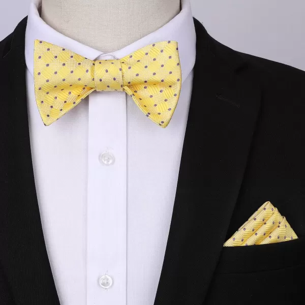 HISDERN Bow tie and Suspenders for Men Plaid Suspender Self Bowtie Pocket Square Adjustable Y Shape Mens Trouser Braces