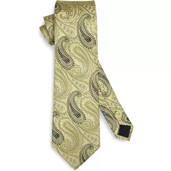 HISDERN Extra Long Ties for Men Classic Floral Tie and Pocket Square Elegant Silk Necktie Handkerchief Set Wedding Party